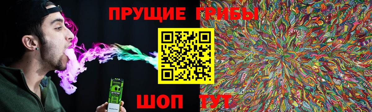 Солнечногорск  Галлюциногенные грибы прущие грибы  Вход с VPN  Галлюциногенные грибы прущие грибы 